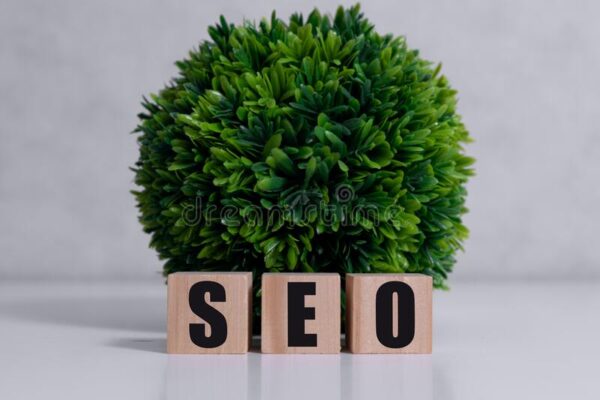 Small business SEO: 10 really effective strategies