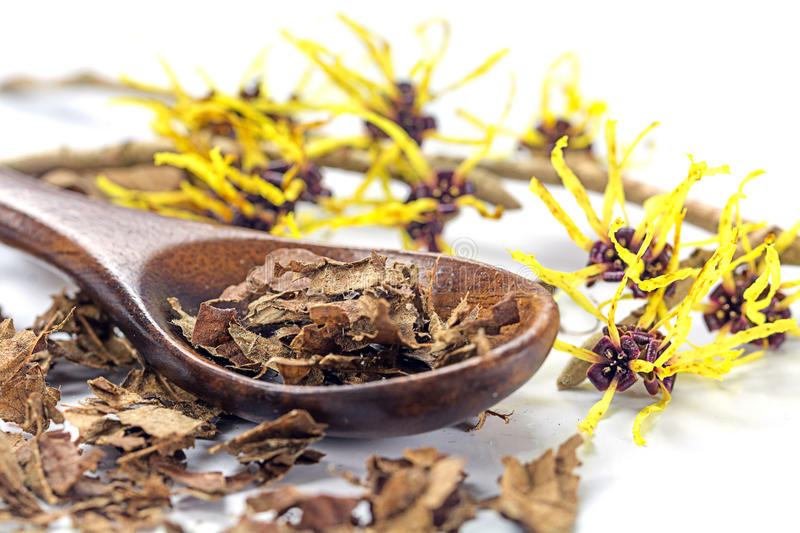 Benefits Of Witch Hazel For The Skin