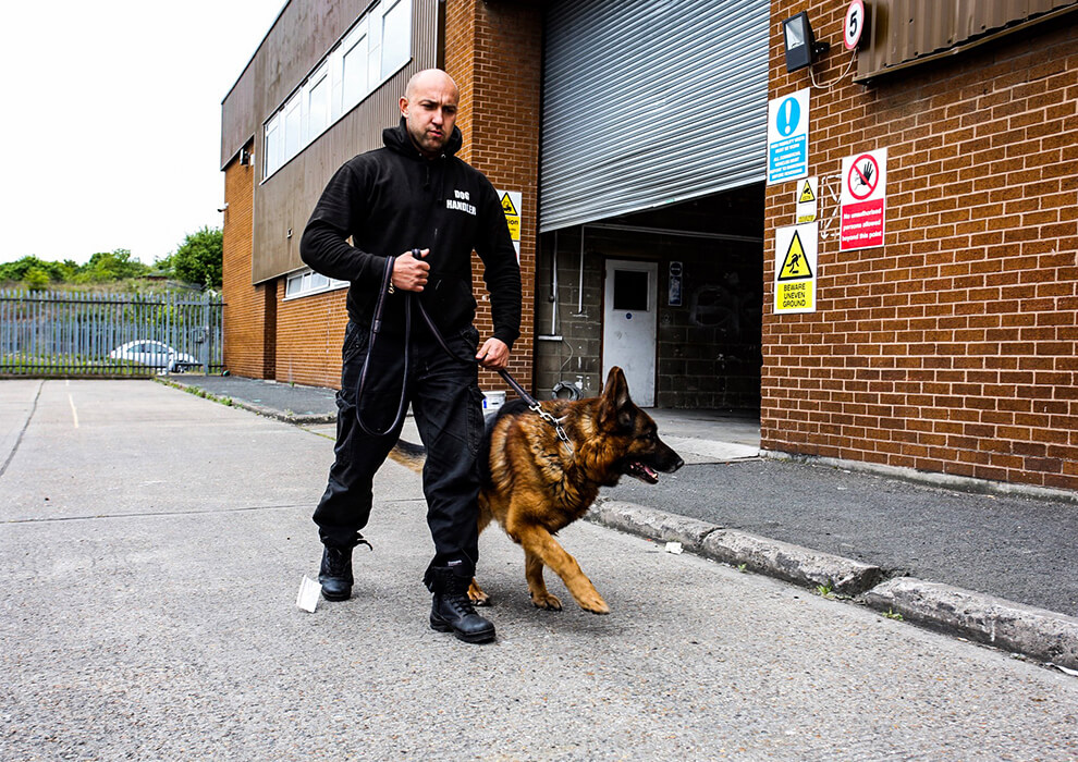 Security Dog Handlers Essex