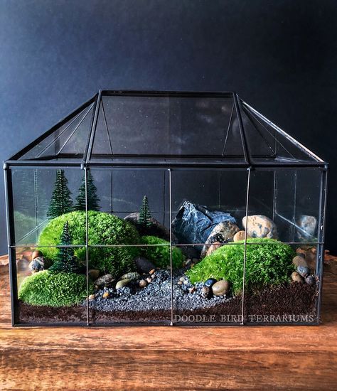 What are the elements of a terrarium and their functions?￼