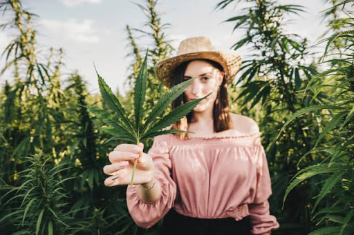 Four Ways CBD May Help You Sleep, Lose Weight, and Enjoy Your Life More