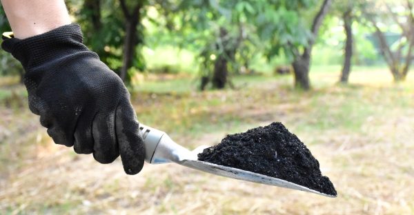 What Are the Benefits of Adding Biochar to Your Garden Soil?