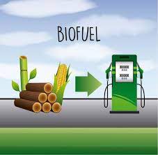 Biofuel Startup Koko Networks Expands Beyond Fuel