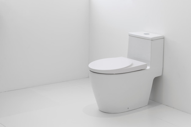 The Pros and Cons of Pressure-Assisted Toilets
