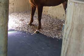 horse bedding with stable matting