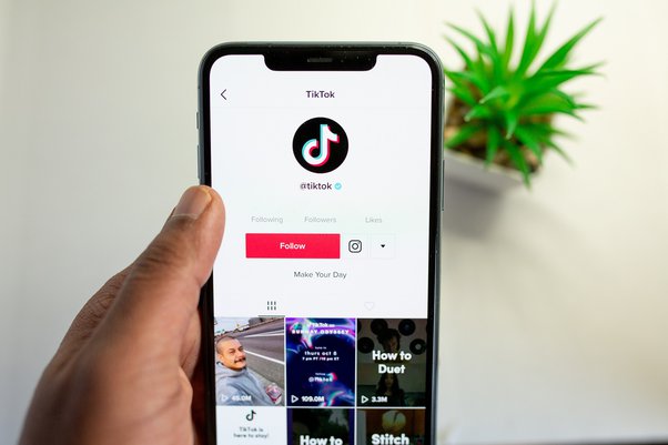Buying Services for TikTok