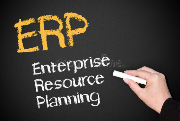 Who are the primary users of ERP systems?