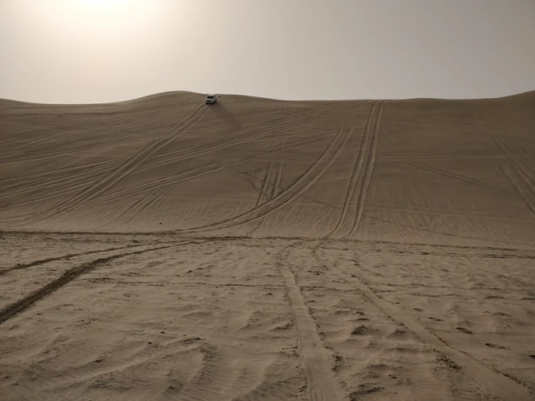 Everything You Need to Know About a Desert Safari in Qatar