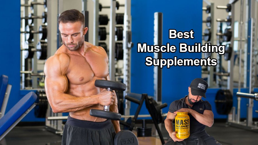 Best Muscle Building Supplements that Actually Work - EVOKING MINDS