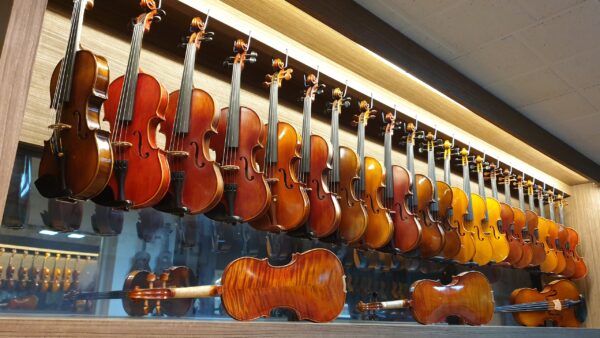 Factors to check before finalizing the violin shop Singapore to make your investment in the desired violin