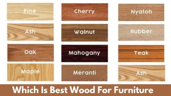 Best Types of Wood for Furniture and Modern interior design