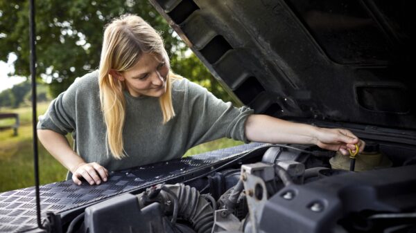 What You Should Know About the Mechanic in Long Island￼