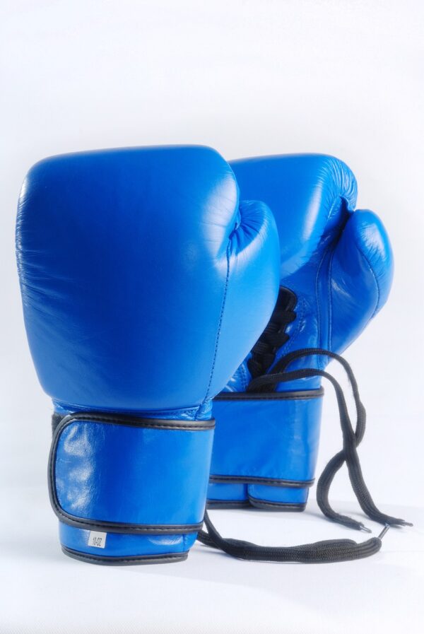 What is the difference between cheap and premium boxing gloves?