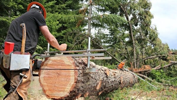 What is a Portable Chain Sawmill