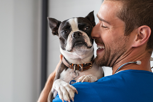 Step by step guide to becoming a pet carer