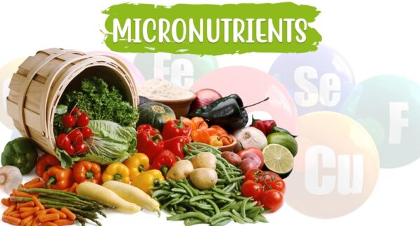 Why Are Micro-Nutrients Beneficial to Our Health?