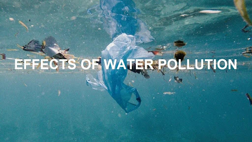 What Effects Does Water Pollution Have On Human Health?