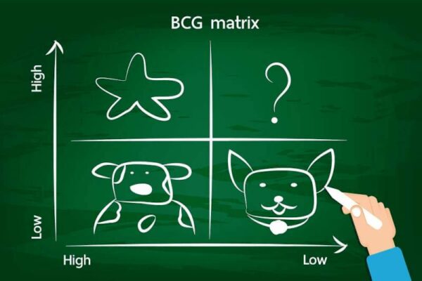What is the Growth Share Matrix and How to Apply It?