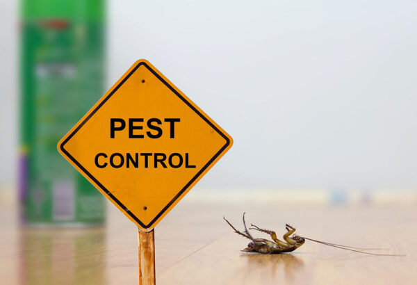 The Ultimate Guide To Pest Control Canberra