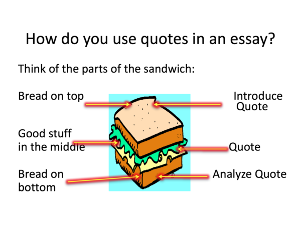 How to introduce a quote in an essay