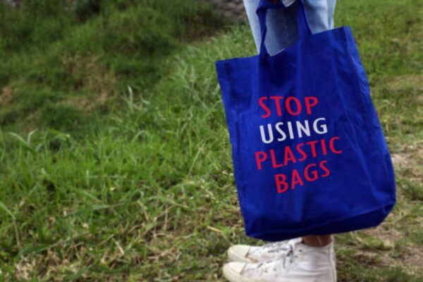 Benefits of Using Environmentally Friendly Tote Bags in Your Business