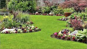 Why maintaining your lawn should be a priority