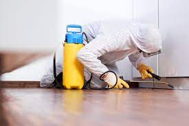 3 TIPS ON HOW TO CHOOSE A GOOD PEST CONTROL COMPANY IN MELBOURNE