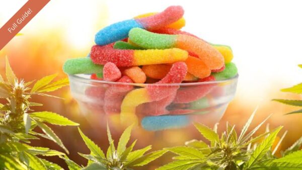 What Are CBD Edibles And What Are Their Benefits