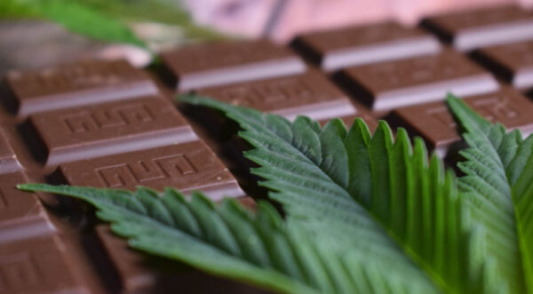 6 Best CBD Chocolates: Your Buyer’s Guide (2022)