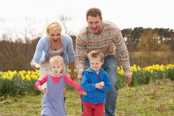 Spring Activities That Adults Will Love!