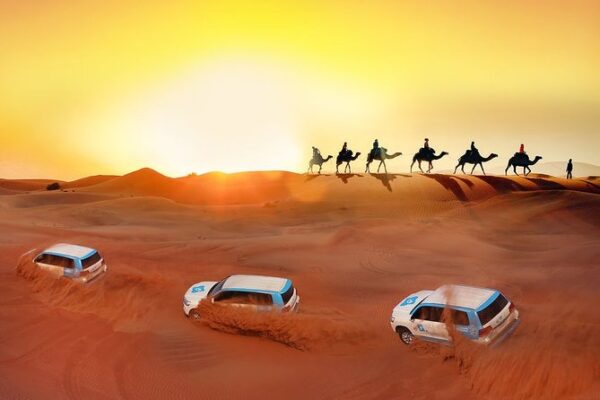 Which camp is best for Desert Safari in Dubai?