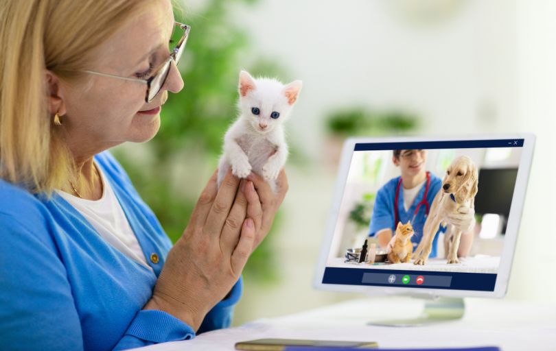 veterinary doctor online