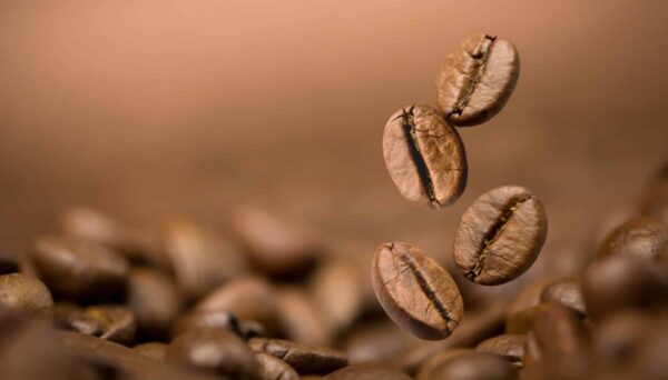 Essential Tips To Check When Buying Affordable Coffee Bean
