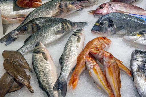 How to Buy Best Fish Online in Singapore