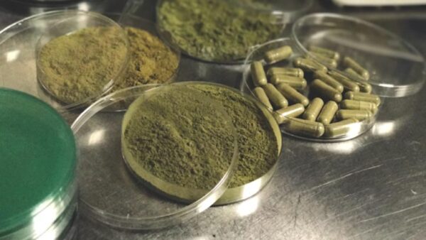 How Is Kratom Quality-Tested?