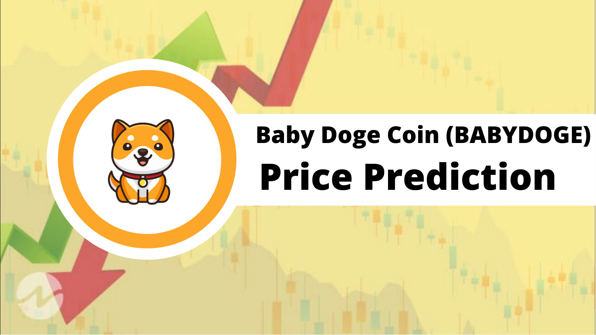 Baby DOGE coin predictions