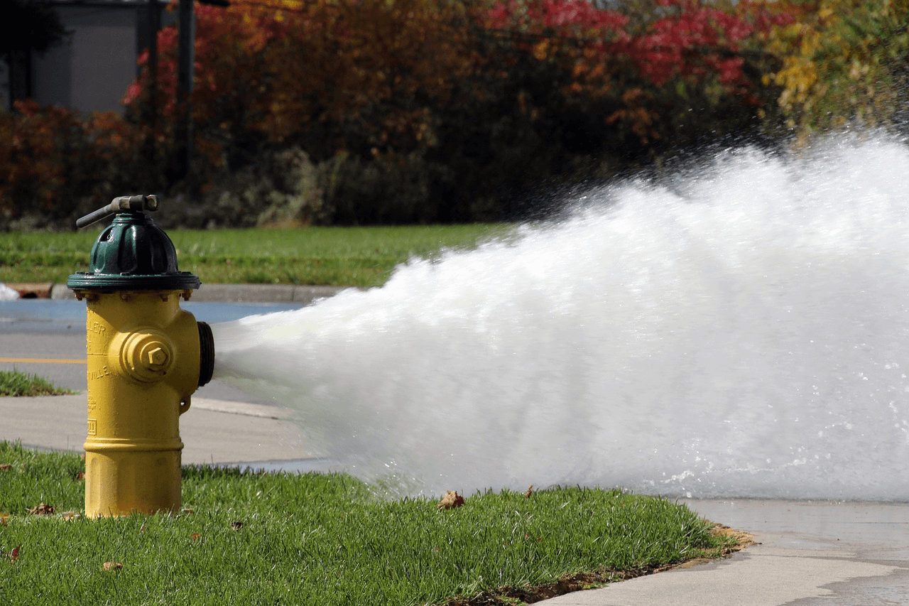Fire Hydrant Leaks