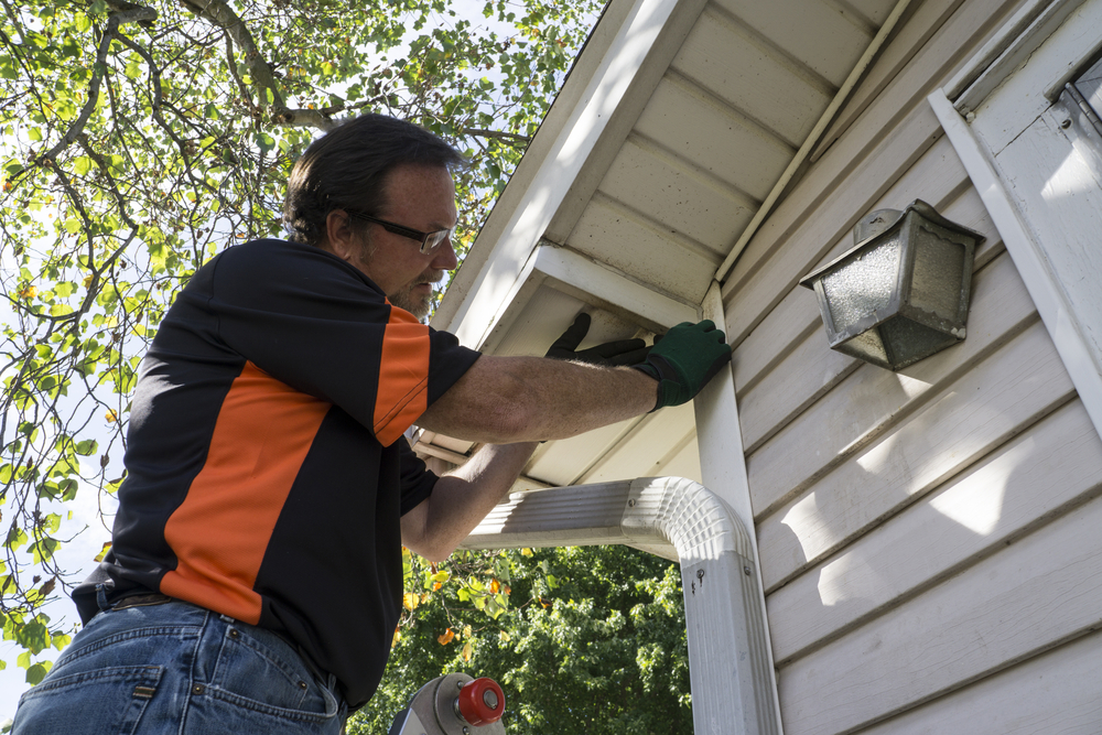 Make Your House Look Better With Vinyl Siding in New Orleans