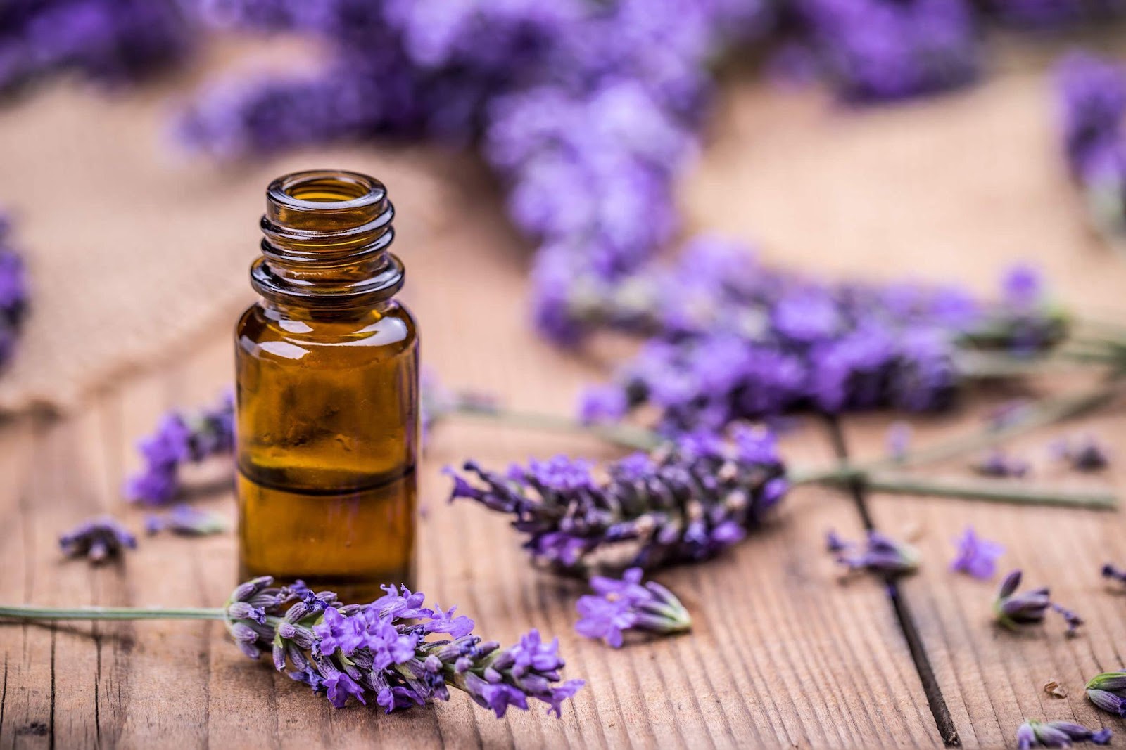 Lavender oil for skin