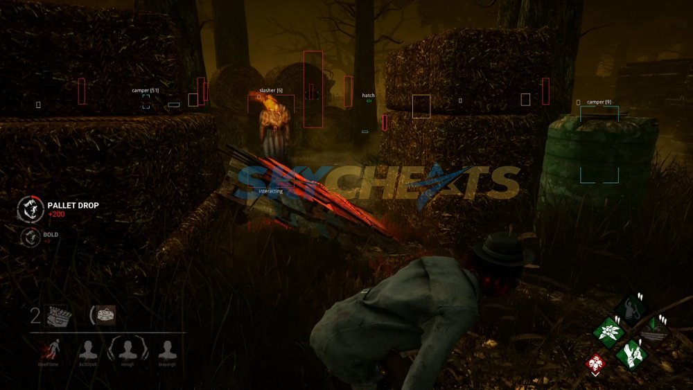 Private Dead by Daylight Hacks and Cheats