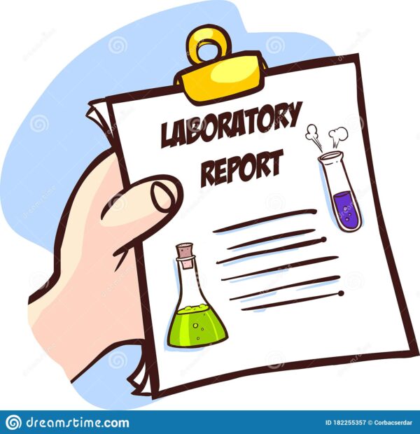 Why Introduction and Discussion Are the Main Parts of a Lab Report
