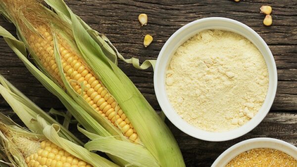 Health advantages of corn flour
