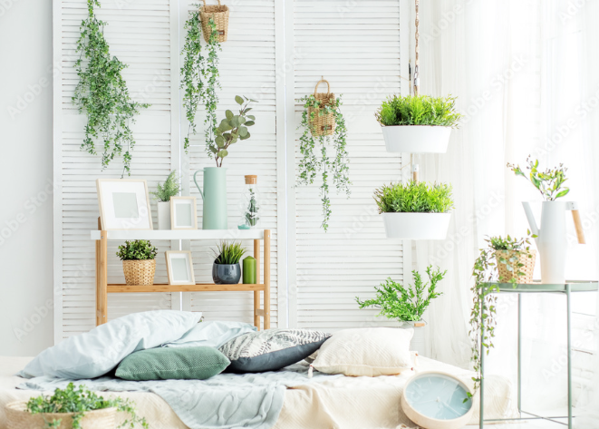 use of indoor plants in interior design