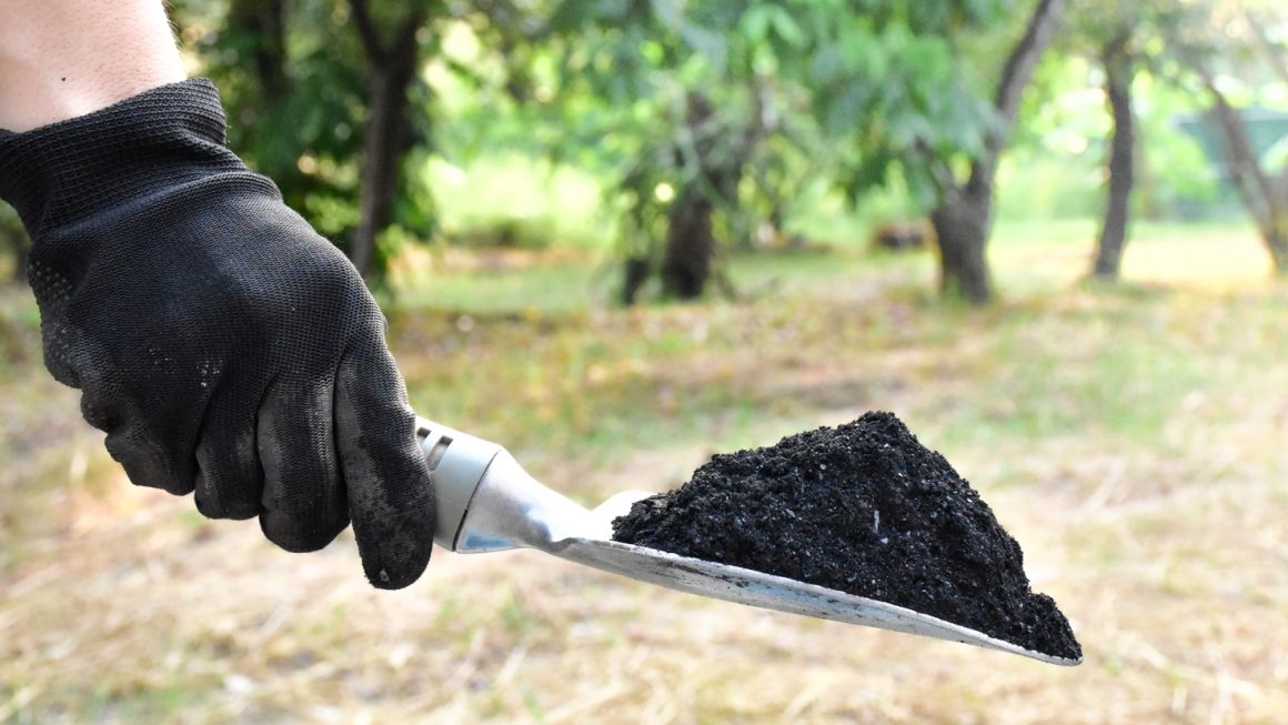 Biochar to Your Garden Soil