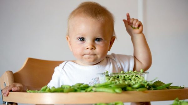 Easy ways to help a picky eater get healthy meals