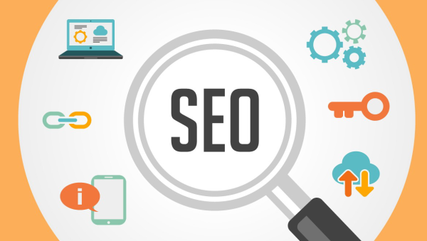 How to Choose the Right SEO Consultant in India?