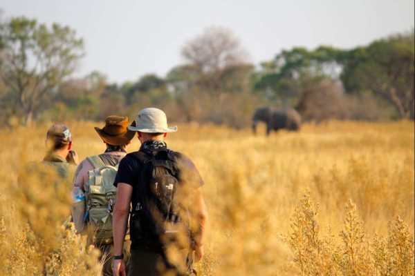 This Is It: Your Complete Tanzania Safari Packing List  