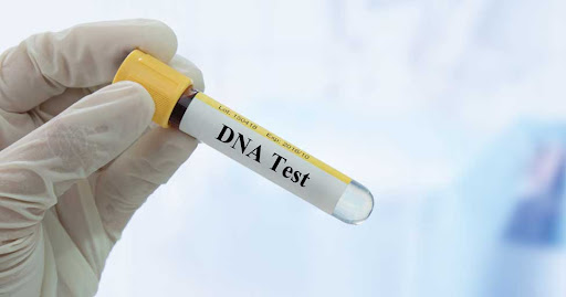 Get Legal DNA Testing Services in Sparks NV for Peace of Mind