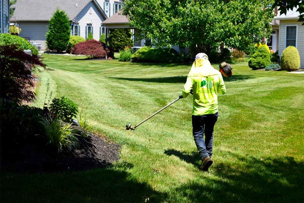 Lawn and Landscape Maintenance