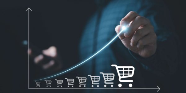 Invest In E-commerce To Become Financially Strong and Stable?